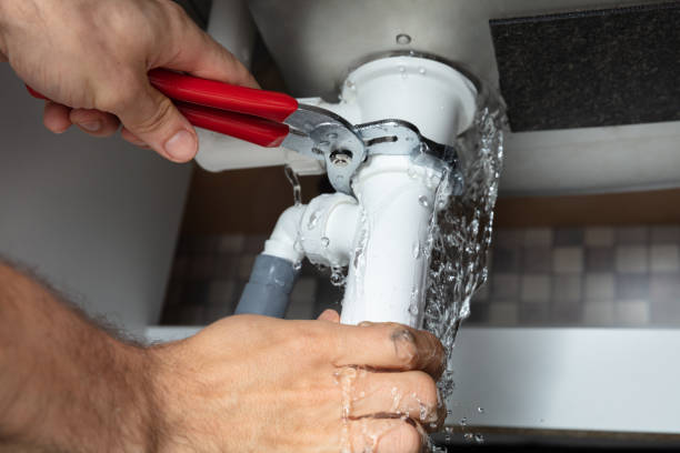 Best Professional water damage repair  in Freemansburg, PA