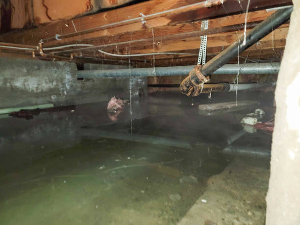 Best Ceiling water damage repair  in Freemansburg, PA