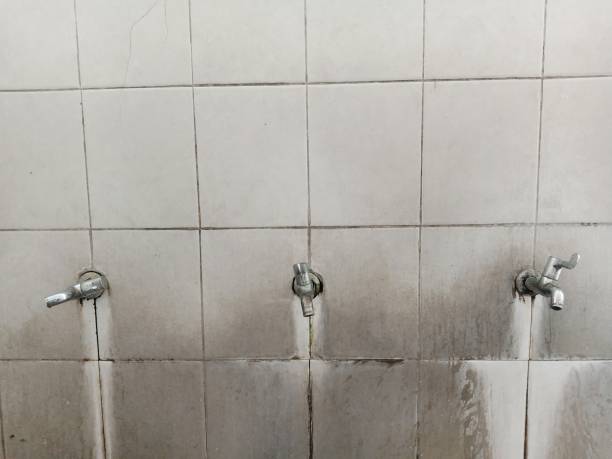 Trusted Freemansburg, PA Water damage restoration Experts