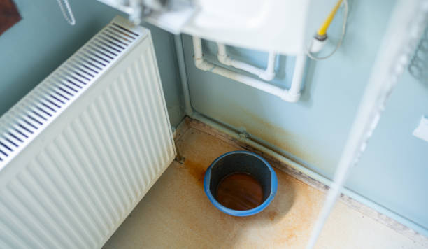 Best Water damage restoration near me  in Freemansburg, PA