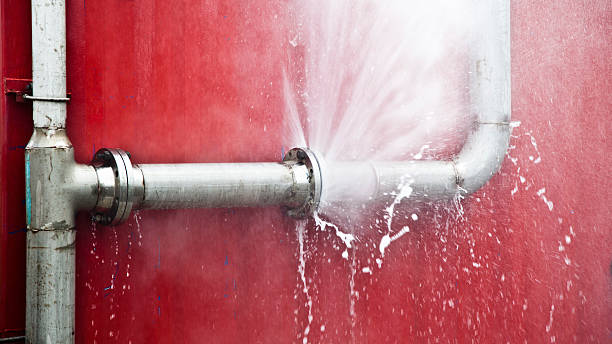 Best Flooded house restoration  in Freemansburg, PA